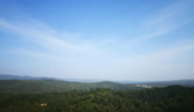 如何优化网络推广的内容策略?